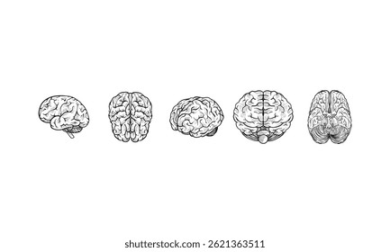 skull handdrawn engraving doodle collection