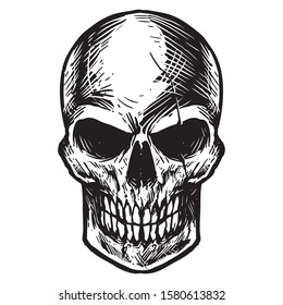 skull head black and white drawing vector