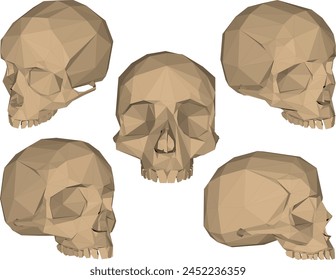 skull head bone plyline drawing vector design sketch illustration