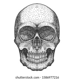 skull head dotwork vector illustration for your company or brand