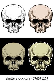 Skull Head Drawing Illustration With 4 Variation Color
