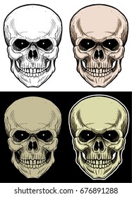 Skull Head Drawing Illustration With 4 Variation Color