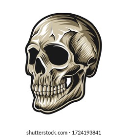 skull head face vector illustration design isolated on white background