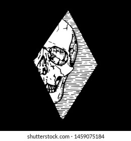 skull head four angle design illustration