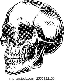 Skull head halftone grunge vector art