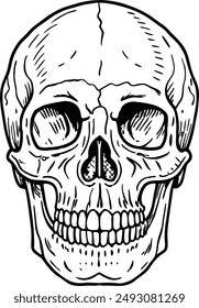 skull head hand drawn illustration