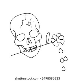 Skull head illustration isolated with white background 