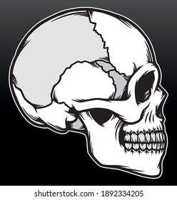 Skull head illustration. Premium vector