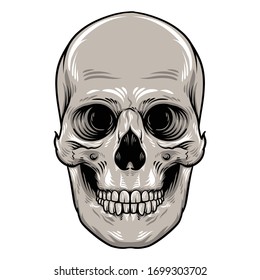 Skull Head With Jaw Illustration