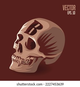 Skull head with letter B vector illustration