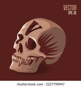 Skull head with letter V vector illustration