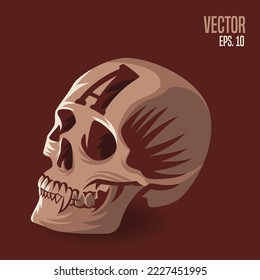 Skull head with letter A vector illustration