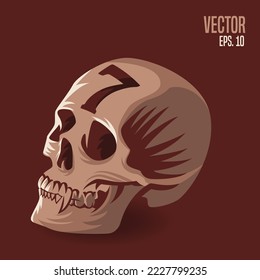 Skull head with number 7 vector illustration