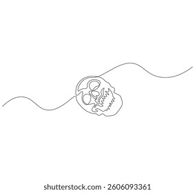 Skull head outline drawing illustration. Continuous line draw of skull head vector.