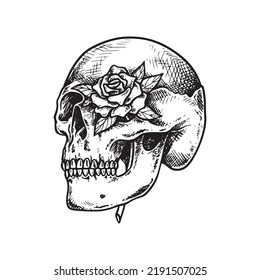 skull head with rose illustration