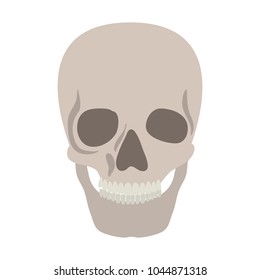 skull head skeleton icon