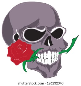 Skull head vector