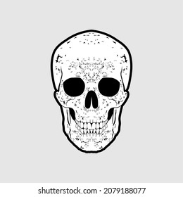 Skull Head Vector Design Inspiration