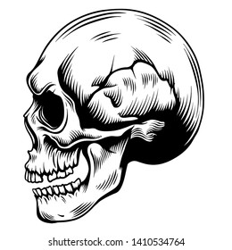 skull head vector. EPS format