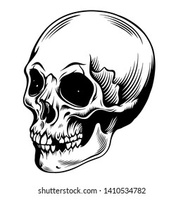 skull head vector. EPS format