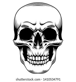 skull head vector. EPS format