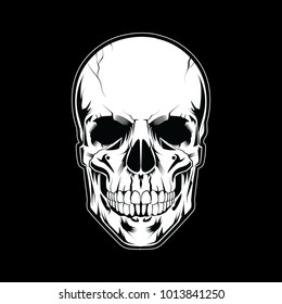 Skull Head Vector Illustration