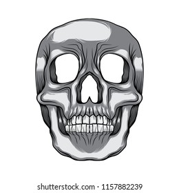 Skull Head vector illustration art isolated