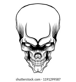 skull head vector illustration isolated 