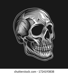 skull head vector illustration isolated on black background