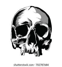 Skull Head Vector Illustration Isolated With The Shadow 