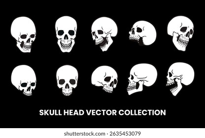 Skull Head Vector Illustration Set with Different Angle Black and White