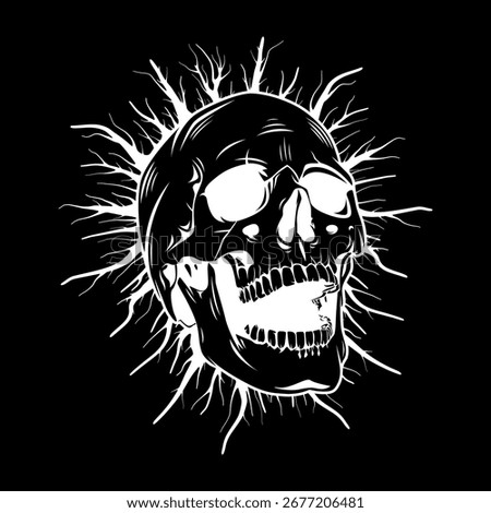 Skull Head Vector Image And Illustration