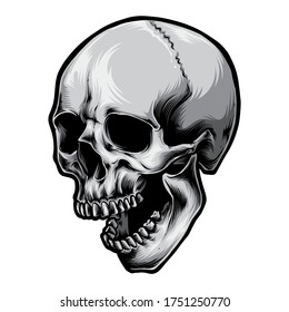 skull head vector logo illustration