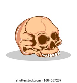 Skull Head Vintage Art Illustration