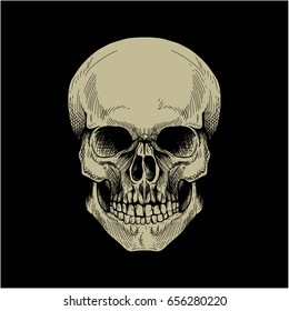 Skull Head Vintage with Hand Drawing Style On Black Background vector illustration