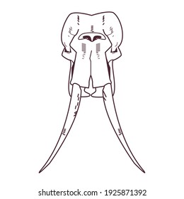 skull head of wild elephant icon vector illustration design
