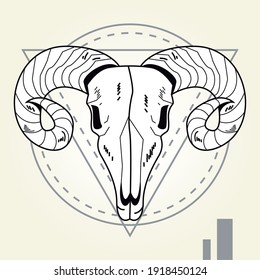skull head of wild goat in geometric frame vector illustration design