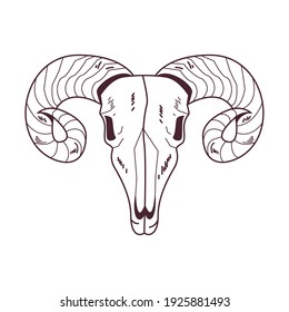 cabeza de cráneo de cabra silvestre diseño de ilustración vectorial de icono de cabra silvestre