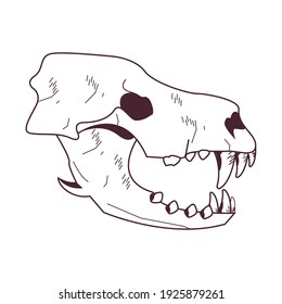 skull head of wild lion icon vector illustration design