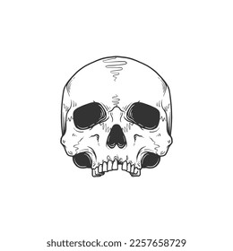 Skull head without jaw vector illustration  Design element for shirt design  logo  sign  poster  banner  card