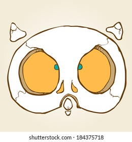 skull head-owl