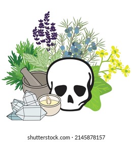 skull and herbs with mortar and pestle, vector