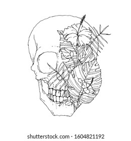 Skull and Hibiscus Flower, Hand Drawn Illustration, Isolated Vector