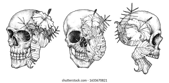 Skull and Hibiscus Flower set, Hand Drawn Pointillism Illustration, Isolated Vector