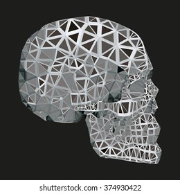 skull with holes and breaks