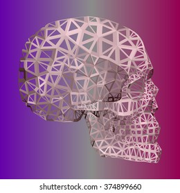 the skull with holes through drawn manually