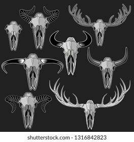 Skull and horn
