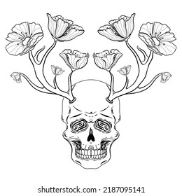 Skull with horns and flowers. Hand drawn vector skull with antlers and flowers isolated on white background. Monochrome. Tatoo. Vintage. Phsycodelic art