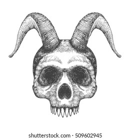 Skull with horns. Human skull with goat horns. Demon Head. A demon,  supernatural, malevolent. Witchcraft, occultism, mythology and folklore, religion attribute. Horned human skull t shirt print.