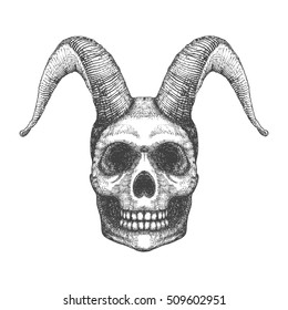 Skull with horns. Human skull with goat horns. Demon Head. A demon,  supernatural, malevolent. Witchcraft, occultism, mythology and folklore, religion attribute. Horned human skull t shirt print.